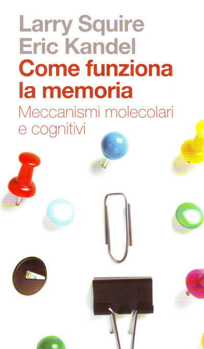 Come funziona la memoria - Meccanismi molecolari e cognitivi